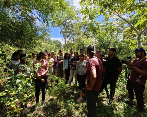 2cde7163-822d-40cd-b430-7d906a2b0e77